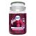 Airpure Raspberry Bliss Scented Large Jar Candle - 510g