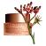 Clarins Extra-Firming Regenerating Night Cream for All Skin Type - 50ml