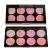 Revolution Makeup Blush Palette - Blush Queen (1463)