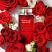 Red Door (Ladies 100ml EDT) Elizabeth Arden