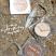 Technic Summer Glow Up Luminous Face Powder - Tan (12pcs) (24716)