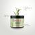 Mielle Rosemary Mint Strengthening Hair Masque - 340g