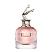 Surprise (Ladies 100ml EDP) Prime Collection (3439)