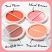 Technic Coupled Up Blush Duo (20pcs) (24746)