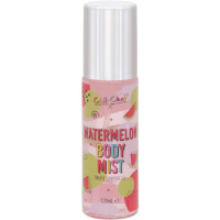 Technic Chit Chat Body Mist - Watermelon (120ml) (2500) (41013) CH.E/1