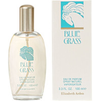 Blue Grass (Ladies 100ml EDP) Elizabeth Arden (5313)