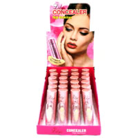 Lilyz High Definition Concealer (24pcs) LILYZ/19