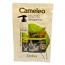 Delia Cameleo Anti-Damage Salt-Free Keratin Shampoo Sachet - 10ml (12pcs) (£0.10/each)