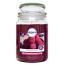 Airpure Raspberry Bliss Scented Large Jar Candle - 510g (3026) B/21