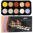 Saffron Concealer & Colour Corrector Palette (8010) C/18