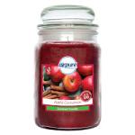 Airpure Apple Cinnamon Scented Large Jar Candle - 510g (4511) B10