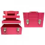 Saffron Dark Pink Make Up Case D/5