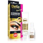 Delia Eyebrow Expert Eyebrow & Eyelash Gel Tint - 1.0 Black (15ml) (1978) C/20